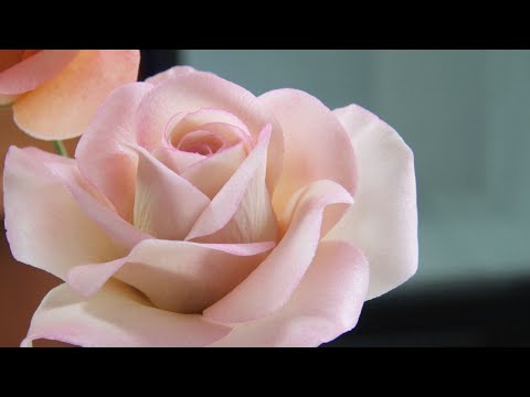 Роза из мастикиSugar Rose Flower Tutorial    Tutorial de flor de rosa de azcar