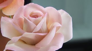 Роза из мастики/Sugar Rose Flower Tutorial/ ارتفع معجون السكر Tutorial de flor de rosa de azúcar