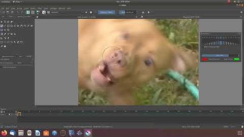 Krita Four Ways To Import Images