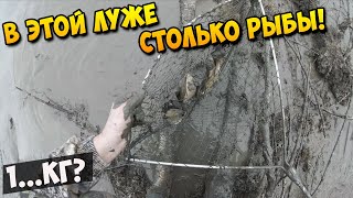 В этой луже столько рыбы! | Ловля Линя осенью | Ловля Щуки осенью #41
