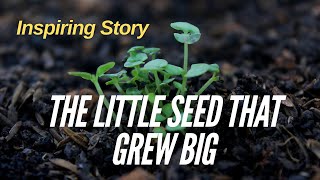 Inspiring Story: The Little Seed That Grew Big 🌱🌳