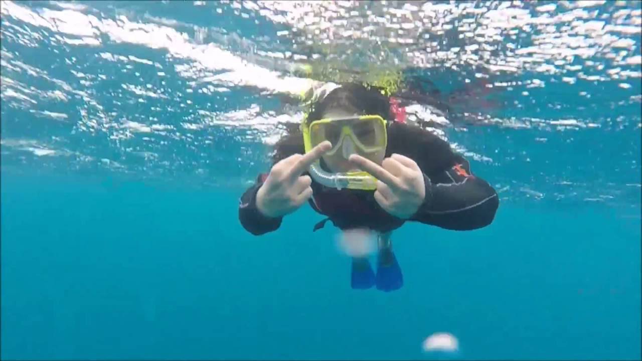 Snorkelling in Cairns 2016 YouTube