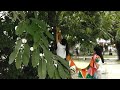 卦山力藝術祭 2019紀錄片 卦山力藝術祭策展團隊Xinstant42藝術空間 卦山力藝術祭 2019紀錄片 卦山力藝術祭策展團隊Xinstant42藝術空間