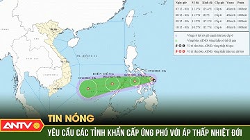 Áp thấp nhiệt đới giật cấp 8 sắp vào biển Đông, yêu cầu ứng phó khẩn cấp | ANTV