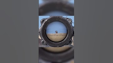 Perfect placement #dayz #gaming #shorts