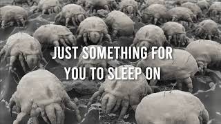 Dust Mites on your pillow.