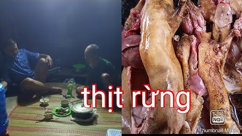 THAM BẪY DÍNH TOÀN THỊT RỪNG.