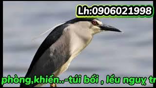 TIẾNG VẠC TẦU MỚI NHẤT 2025 