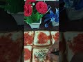 Bread Chesse Chilli 🌶#breadrecipe #breadpizza #pizza #recepies #trending#shorts #viralvideo #snacks
