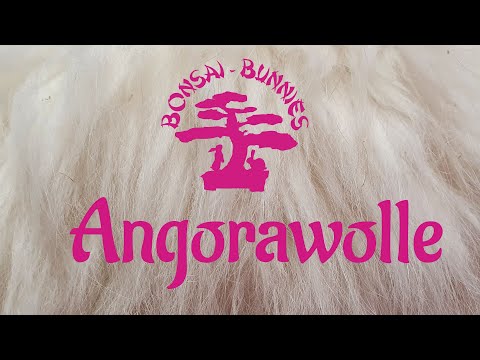 Video: Was Sind Die Vorteile Von Angorawolle