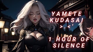 1 Hour of Silence - interrupted by random YAMETE KUDASAI.