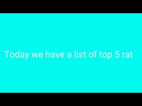 top 5 rat