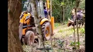 Power of Bison 👑 #Bison #trending #viral #world