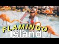 Flamingo Island- IS IT REALLY WORTH IT? | Aruba Travel 2020
