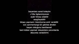 S Köpeğim Sahibe Ariyorum