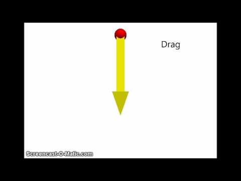 Connor Klok Lab 2: Motion of a Free Falling Object Based on Newton's Second Law of Motion