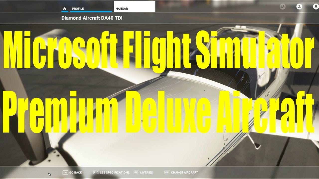 Microsoft Flight Simulator's Standard/Deluxe/Premium Edition Airports And  Planes Explained