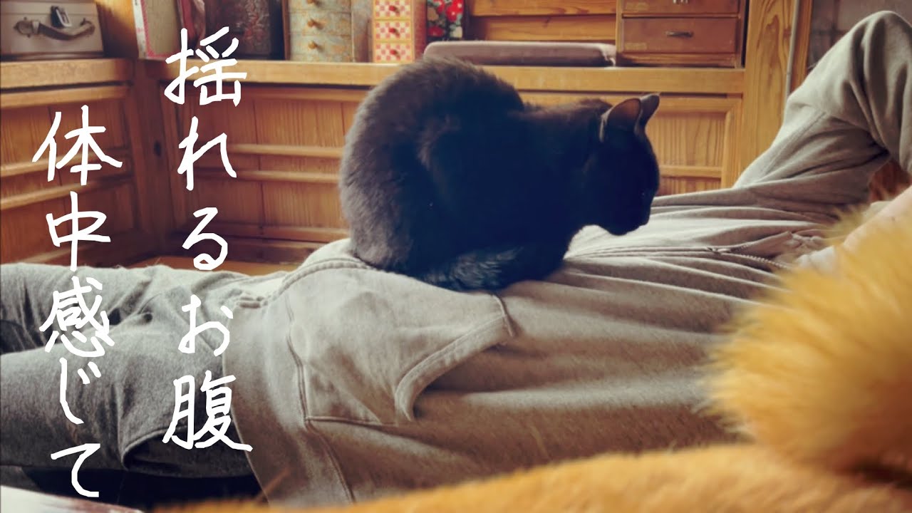 心地よく揺れるベッドで理想の眠りを手に入れた天 Dad is Ten's cradle