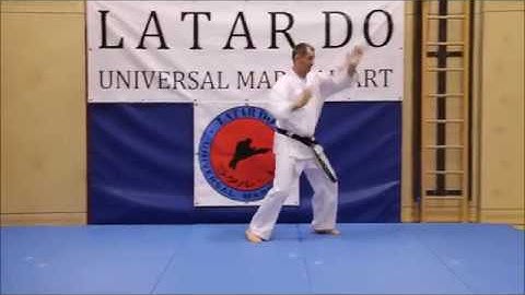 Fight form 8 Techniques of 2 ky, braun belt