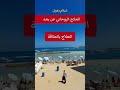 الزوهري المعالج وطريقة العلاج وفك الاسحار عن بعد الزوهريين الزوهرية الزوهرى زوهري زهري زهرة الزوهري المعالج وطريقة العلاج وفك الاسحار عن بعد الزوهريين الزوهرية الزوهرى زوهري زهري زهرة