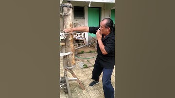 New Wing Chun: Train Your Brain with Fast Movements #kungfu #taichi #wingchun #shaolinkungfu