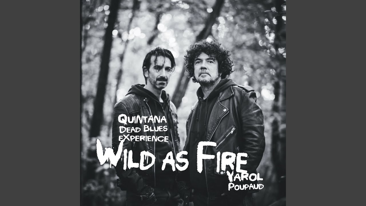 Watch Wild as Fire on YouTube Watch Wild as Fire on YouTube