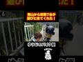 S81【ゆうじバイク便】岡山から総勢7台が来てくれた!#shorts#short#kawasaki#motorcycle#z1#z2#カワサキ#バイク乗りと繋がりたい#バイク#バイク女子#バイク好き