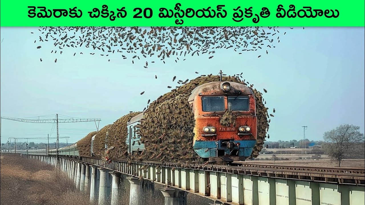 One in a Billion Moments in Nature caught on camera | incredible moments | BMC Facts | Telugu facts