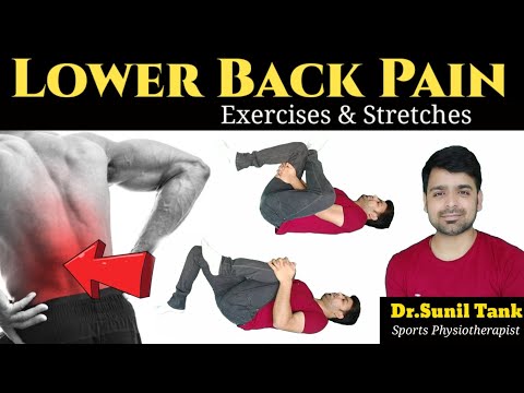 7 Exercises for Lower Back Pain Relief - Dr. Nael Shanti