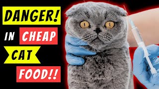 Cheap Cat Food Health Danger