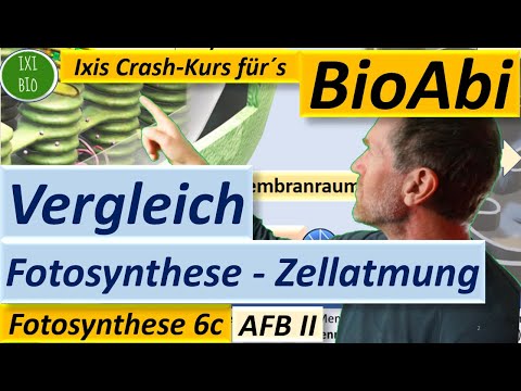 Video: Wie unterscheiden sich Photosynthese und Zellatmung?
