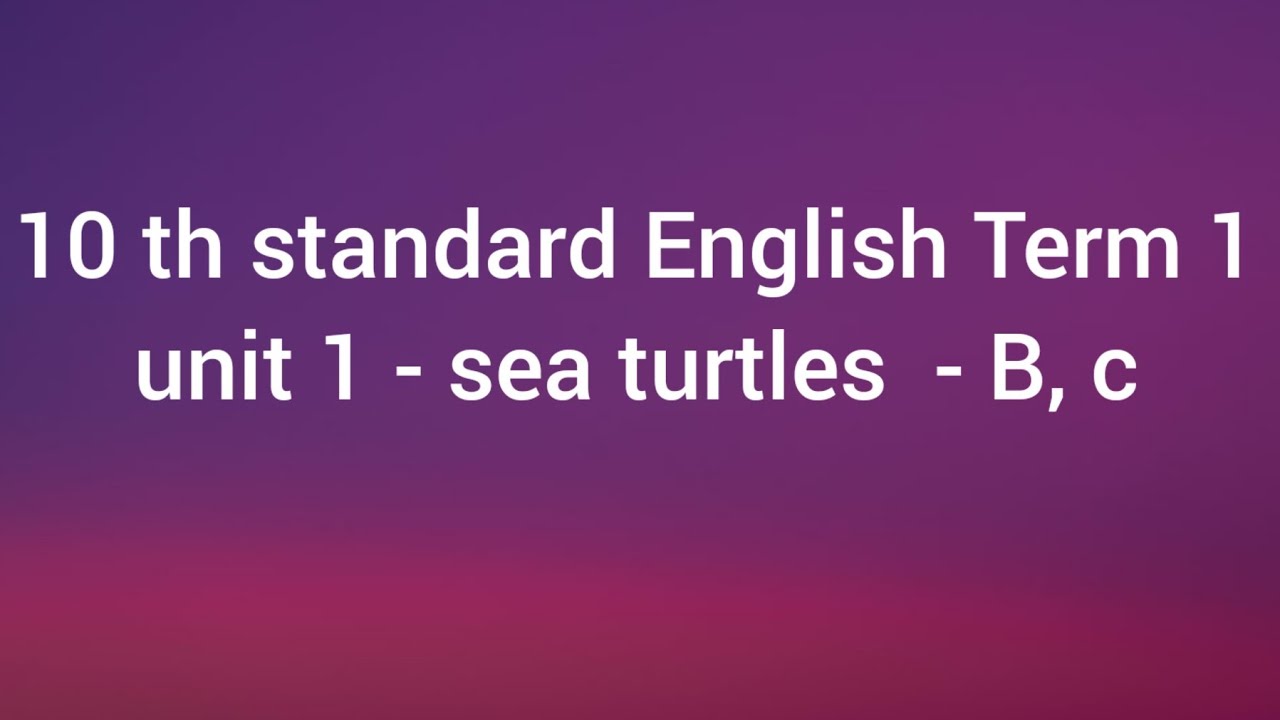 10 th standard English Term 1 unit 1 sea turtles B, c YouTube