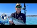 Fishing Lake Huron, Consent Decree Update; Michigan Out of Doors TV #2319