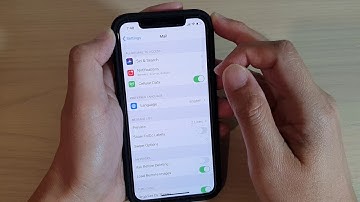 iPhone 11 Pro: How to Enable / Disable Mail App to Use Cellular Data