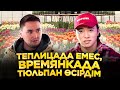 Тюльпан бизнесі  5-күнде 2 млн тг табу схемасы! Тюльпан өсіру.