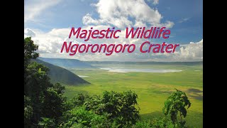 Ngorongoro Crater: The Eighth Wonder of the World