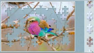 Colourful Bird//jigsaw puzzles 🧩🧩//puzzles game craft 🧩🧩//fun with puzzles 🧩//Challengeable 🧩// screenshot 5