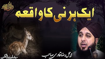 Aik Hirni (Deer) ka waqia by Peer Ajmal Raza Qadri #ajmalrazaqadri