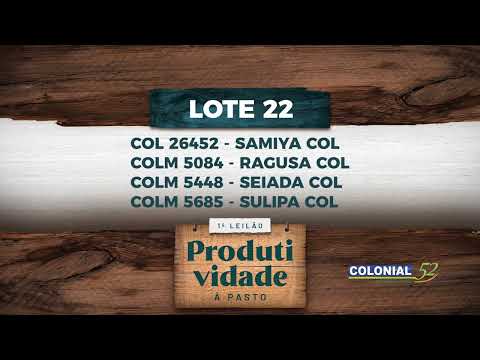 LOTE 22   COL 26452,COLM 5084,5448,5685