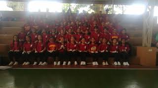 Maroon Team Bench Cheer (G12)