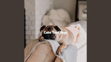 Pulsating Backdrops for Story Discovery