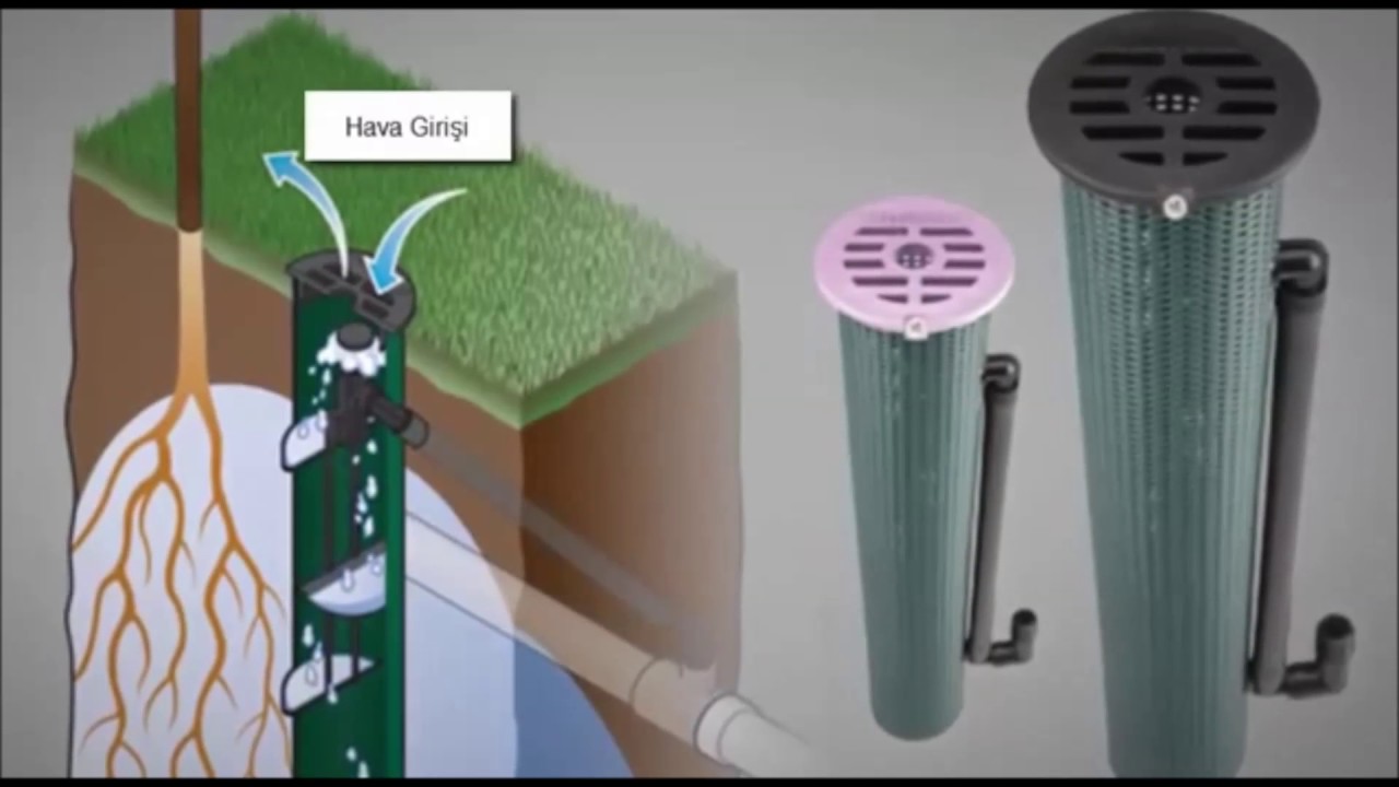 полив деревьев автоматический. корневой полив. автоматическая система капельного орошения. полив из труб пвх. мульчирование приствольного круга дерева.