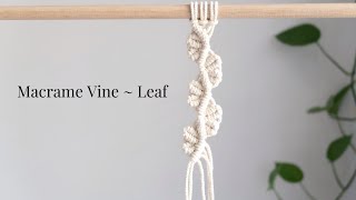 DIY: Macrame Vine | Macrame Leaf ~ Petal Pattern 1