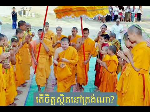 តើចិត្តស្ថិតនៅត្រង់ណា?