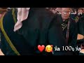 مسقط الاحرار محمد الحلفي خيمتك