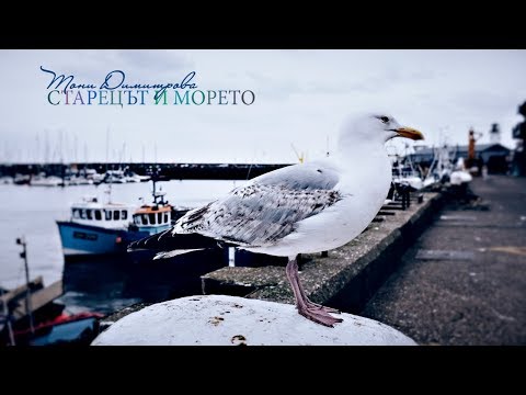 Тони Димитрова - Старецът и морето