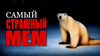 НОЯБРЬСКИЙ МЕМ ИЗ 2026 БЕЛЫЙ МЕДВЕДЬ