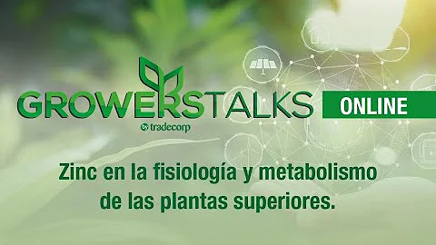 ¿Qué pasa si hay deficiencia de zinc en las plantas?