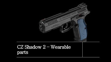 What breaks on a CZ Shadow 2 (or most DA CZ guns)?