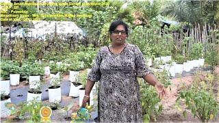 Climate Smart Nutritional Sensitive Home Garden Programme,  Eastern Province.